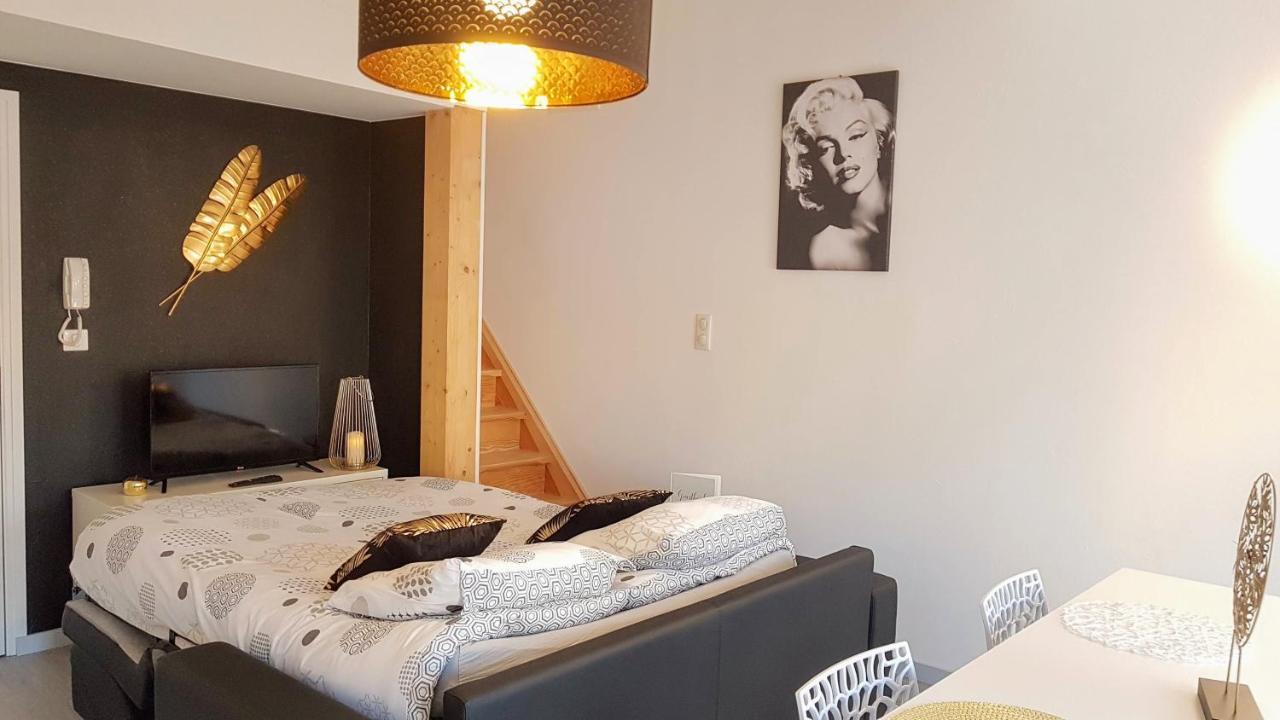 Les Nuits D'Anis - Appartements Hypercentre Le Puy-en-Velay ภายนอก รูปภาพ