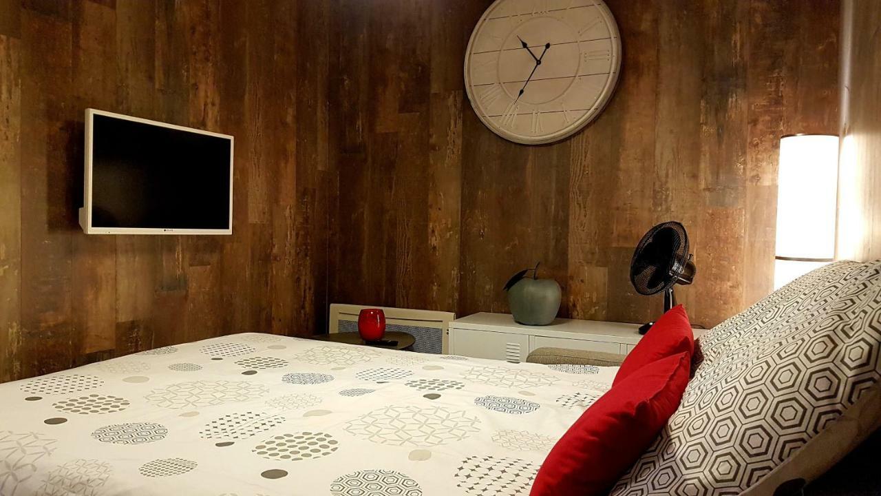 Les Nuits D'Anis - Appartements Hypercentre Le Puy-en-Velay ภายนอก รูปภาพ
