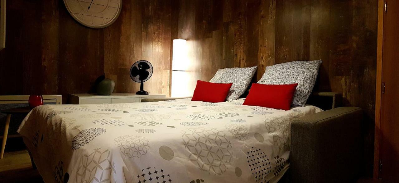 Les Nuits D'Anis - Appartements Hypercentre Le Puy-en-Velay ภายนอก รูปภาพ